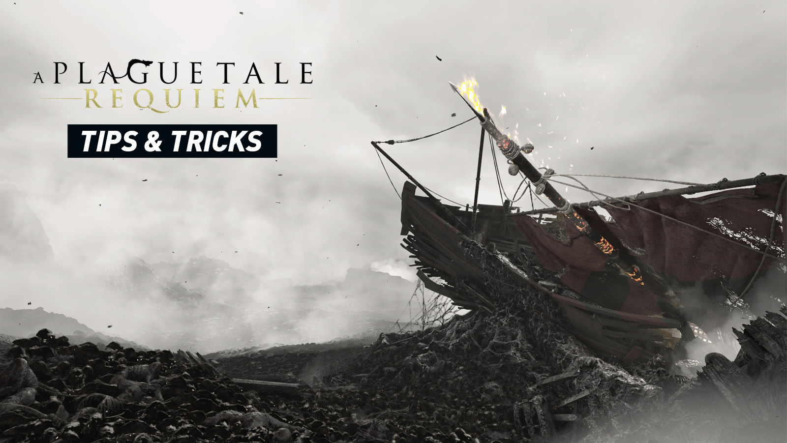 A Plague Tale: Requiem – Tips and Hints