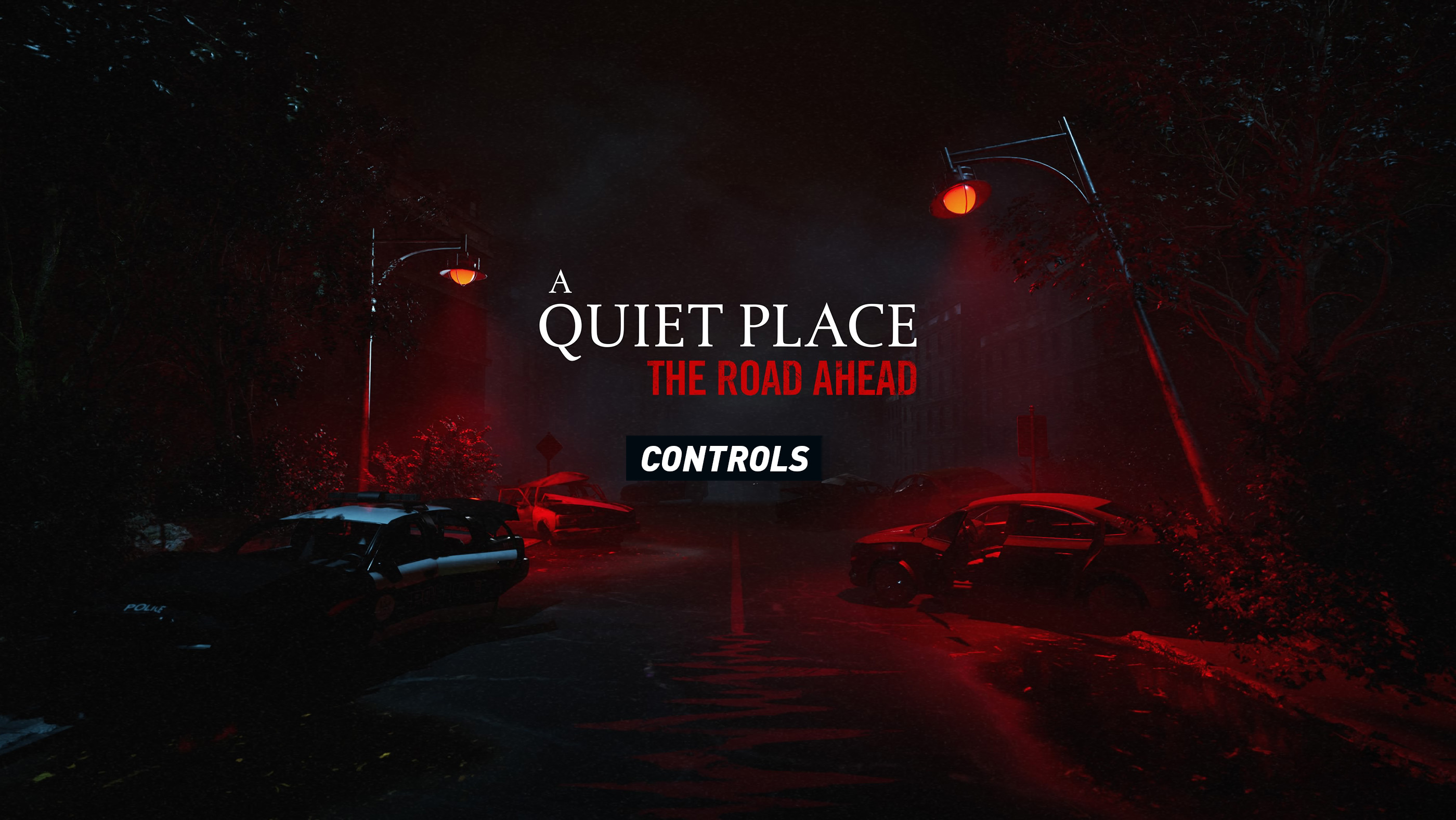 A Quiet Place: The Road Ahead Controls