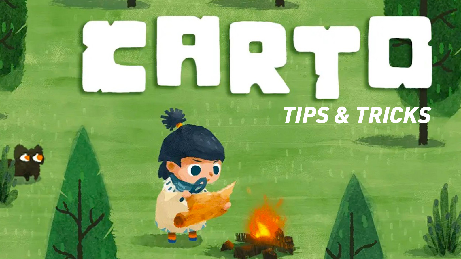 Carto – Tips and Tricks