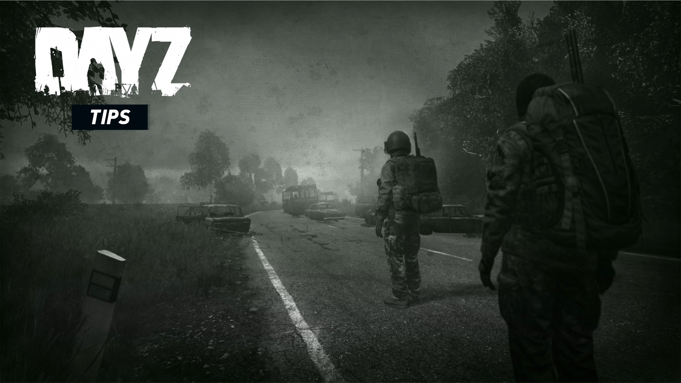 DayZ - Tips and Tricks Guide