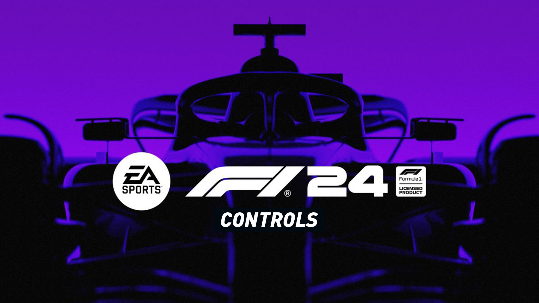 F1 24 Controls