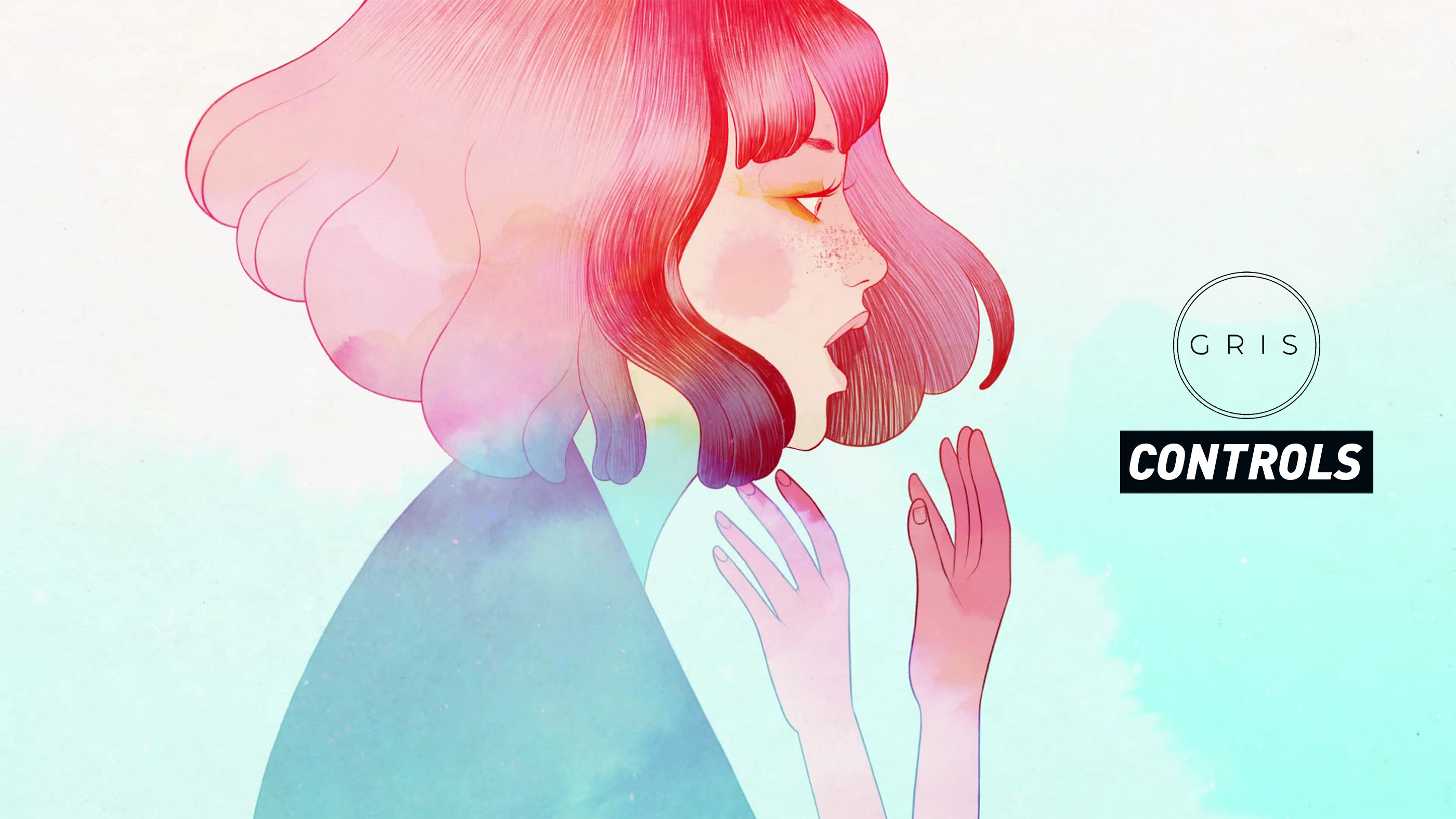 GRIS Controls Guide