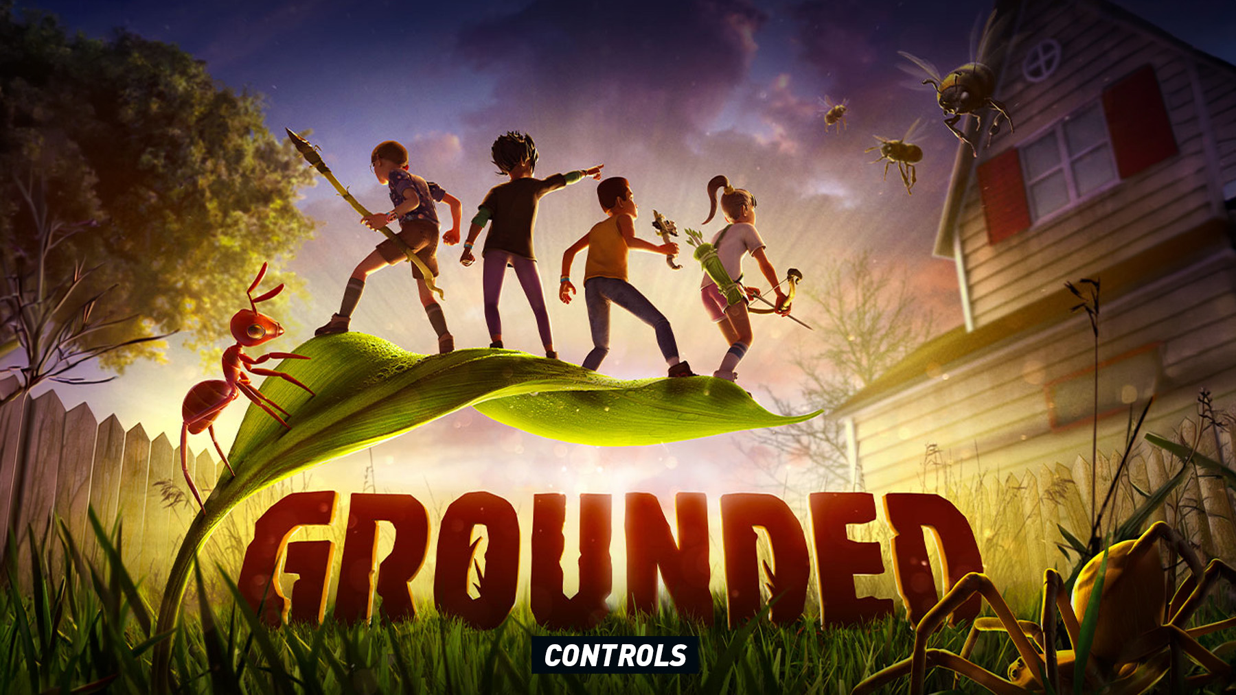 Grounded Controls