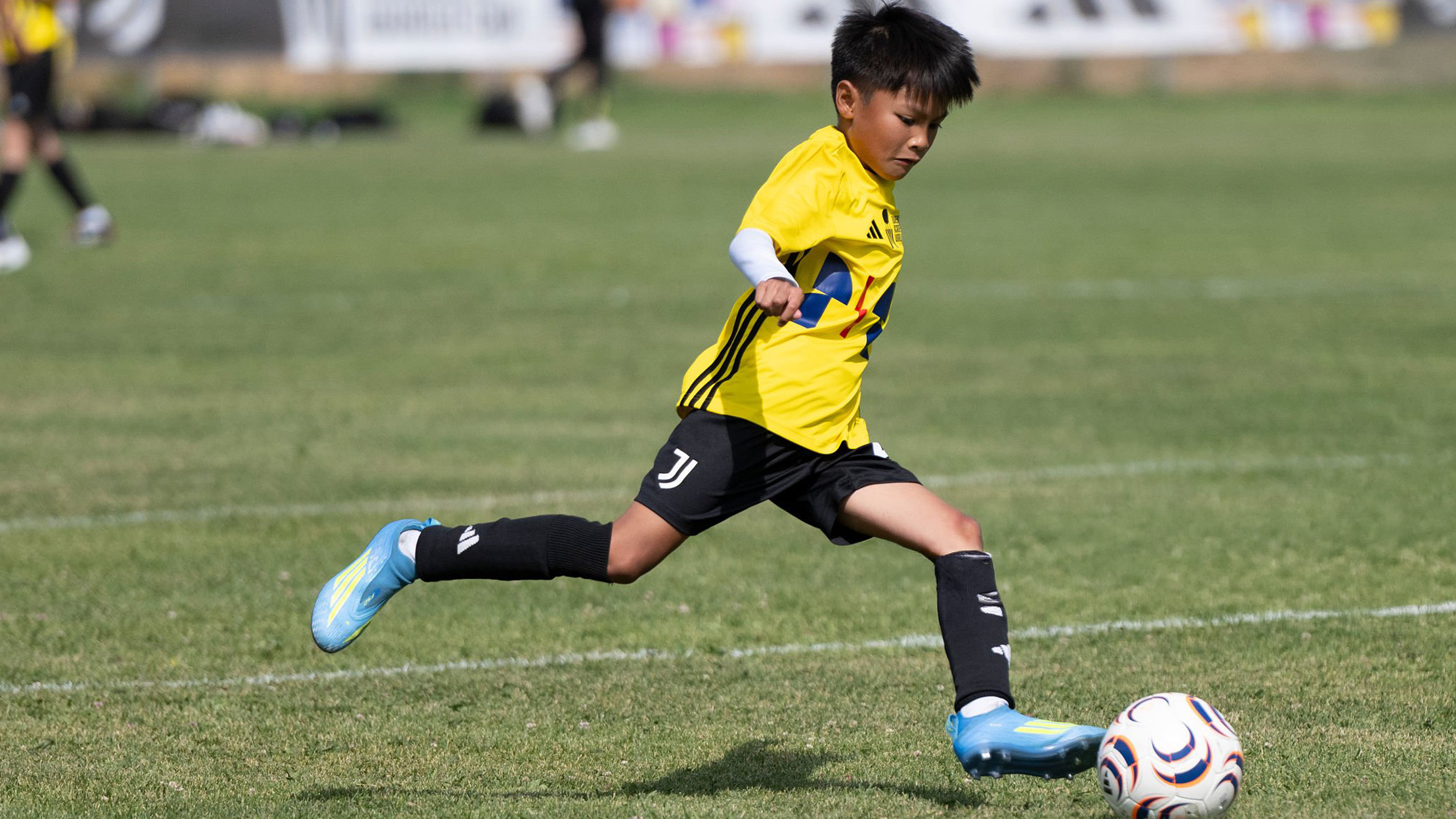 How to Choose the Right Football Academy