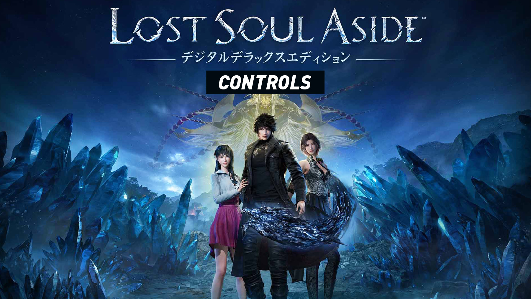 Lost Soul Aside - Controls