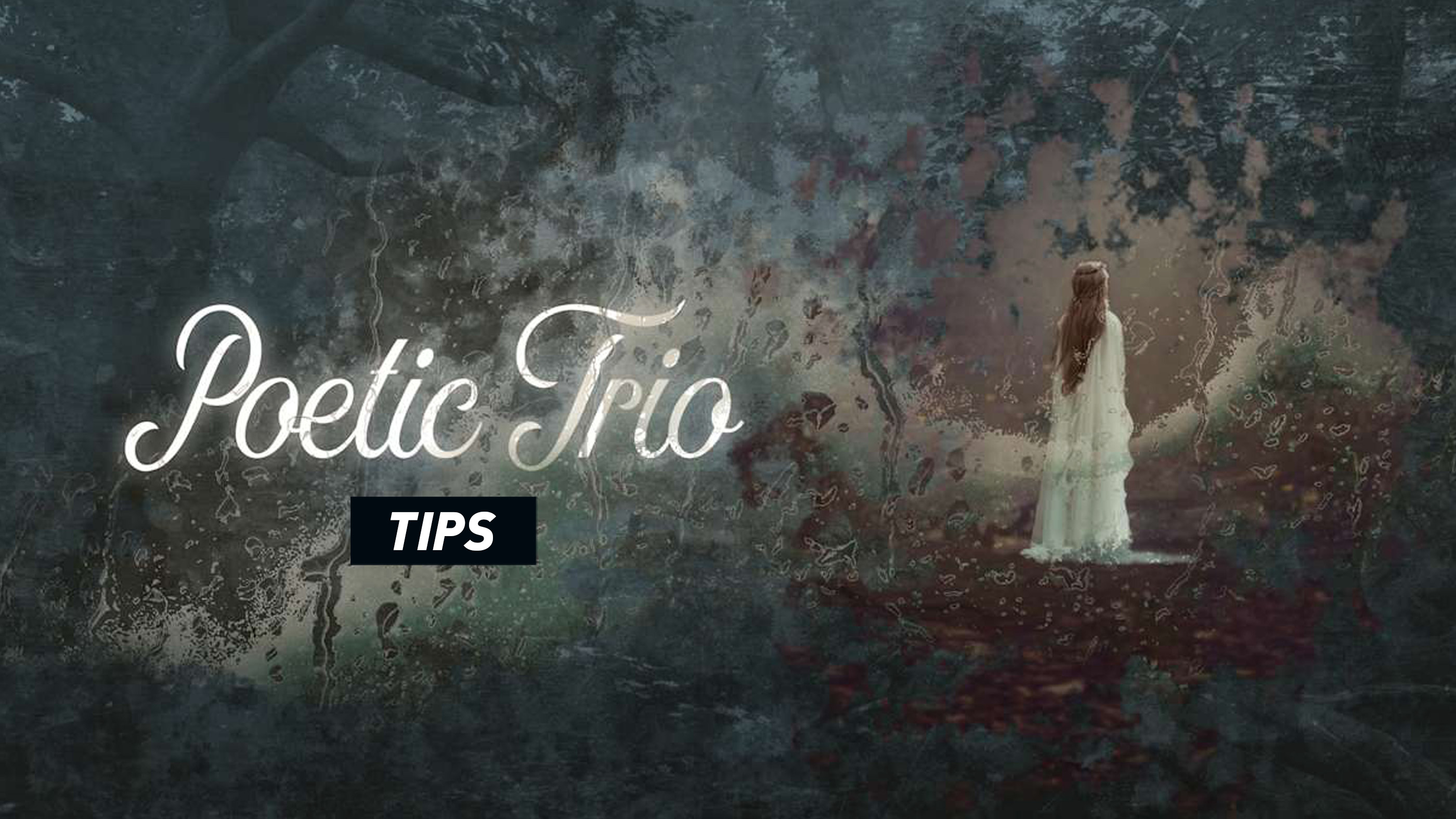 Poetic Trio Controls Guide