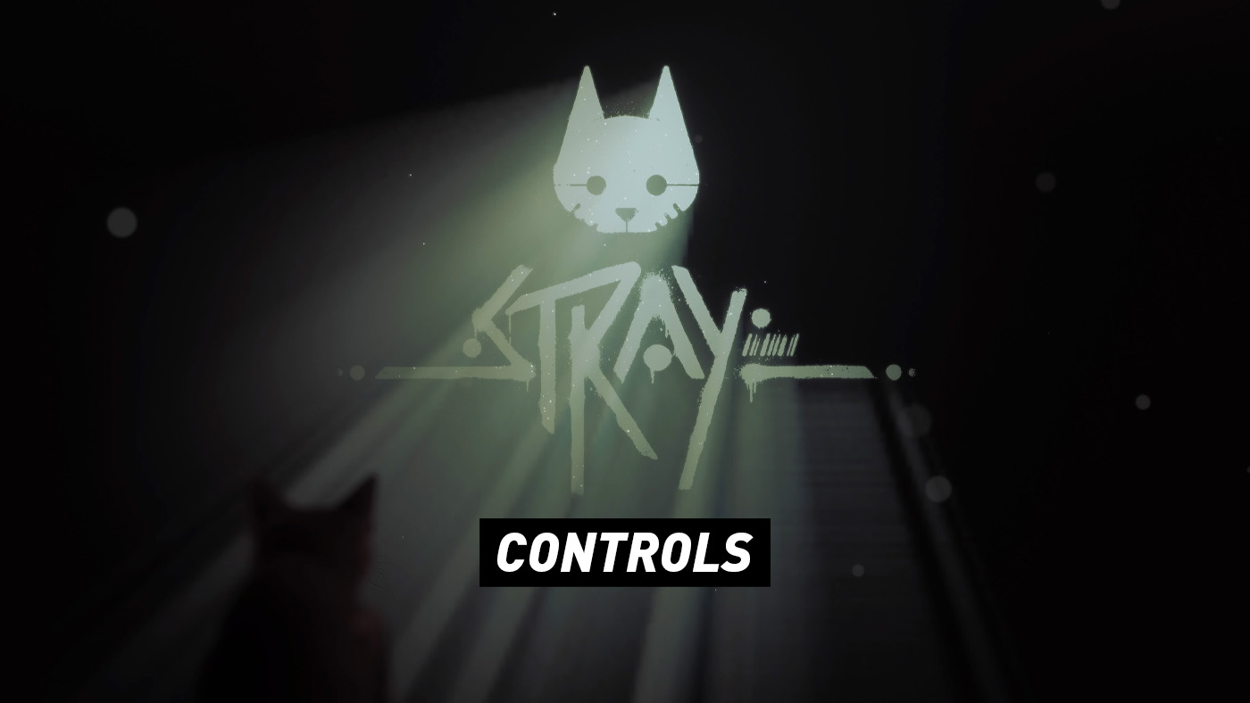 Stray – Controls