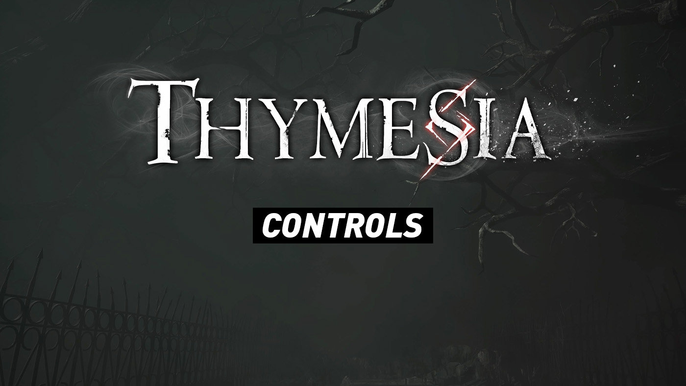 Thymesia Controls
